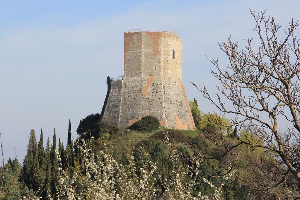 La Terrazza Sulla Val D'Orcia Apartment Castiglione dʼOrcia Екстериор снимка