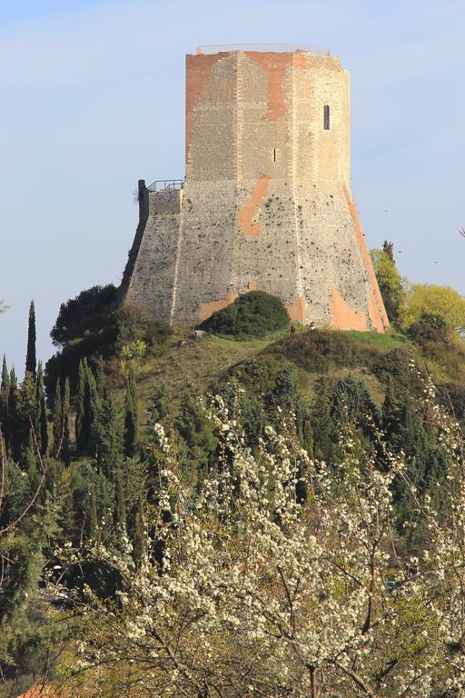 La Terrazza Sulla Val D'Orcia Apartment Castiglione dʼOrcia Екстериор снимка
