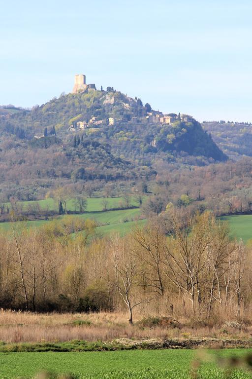 La Terrazza Sulla Val D'Orcia Apartment Castiglione dʼOrcia Екстериор снимка