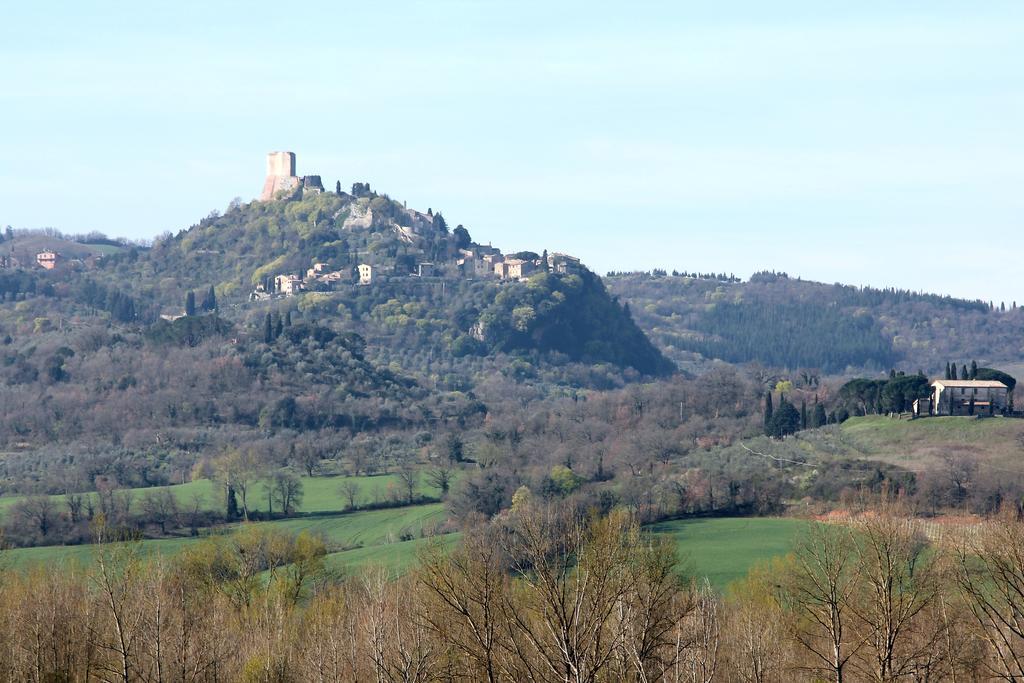 La Terrazza Sulla Val D'Orcia Apartment Castiglione dʼOrcia Екстериор снимка