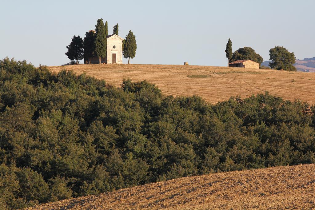 La Terrazza Sulla Val D'Orcia Apartment Castiglione dʼOrcia Екстериор снимка