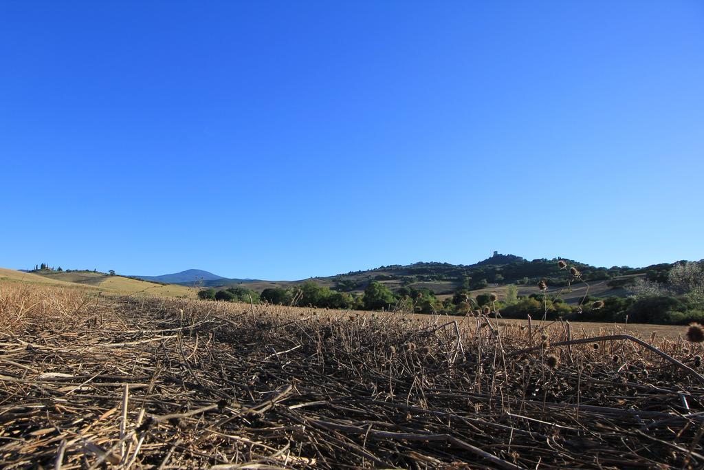 La Terrazza Sulla Val D'Orcia Apartment Castiglione dʼOrcia Екстериор снимка
