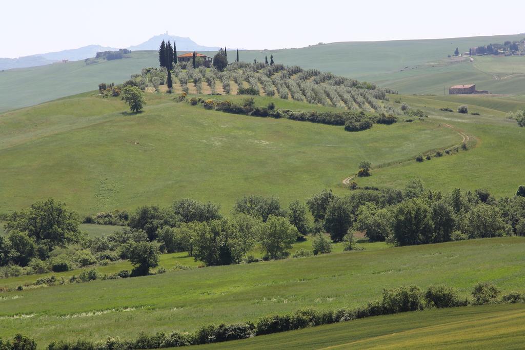 La Terrazza Sulla Val D'Orcia Apartment Castiglione dʼOrcia Екстериор снимка